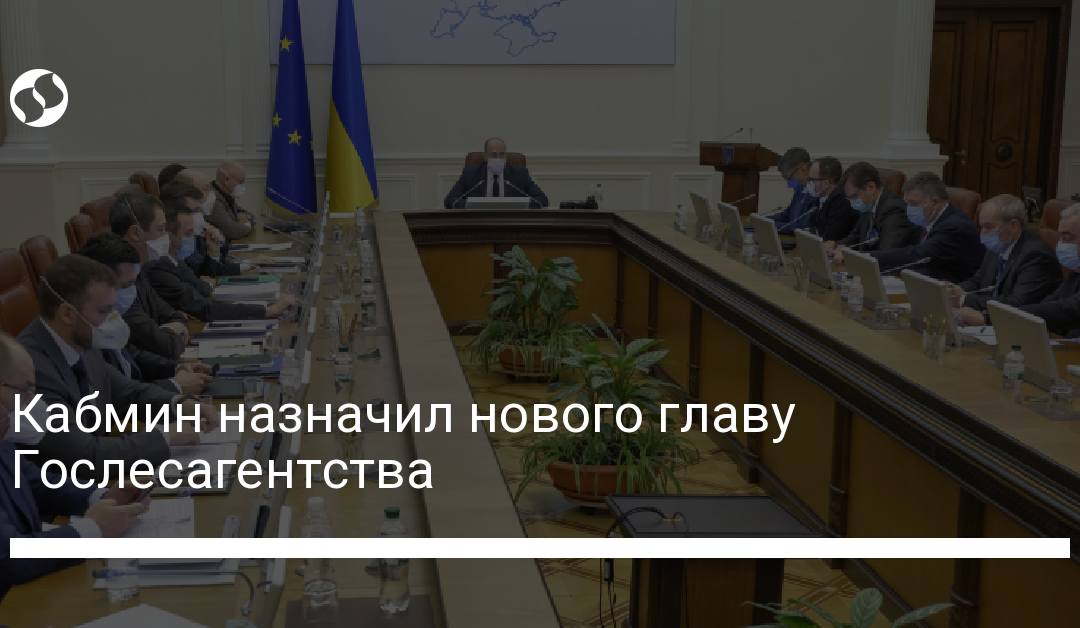 Кабмин назначил нового главу Гослесагентства