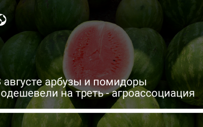 В августе арбузы и помидоры подешевели на треть – агроассоциация